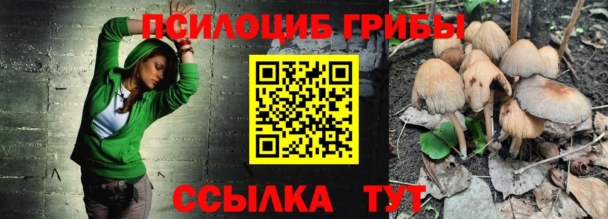 Галлюциногенные грибы MAGIC MUSHROOMS  Вход с VPN  Псилоцибиновые грибы Cubensis  Богданович 